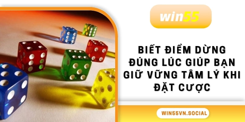 Mẹo Chơi Tài Xỉu WIN55 Dễ Hiểu, Tân Thủ Vào Tiền Liền Ngay 2 Biết điểm dừng đúng lúc giúp bạn giữ vững tâm lý khi đặt cược