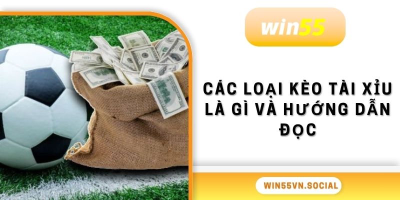 Kèo Tài Xỉu Là Gì? Cách Đọc Chuẩn Xác Cho Newbie Tại Win55 3 Các loại kèo tài xỉu là gì và hướng dẫn đọc