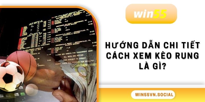 Kèo Rung Là Gì? Hình Thức Cá Cược HOT Tại Win55 3 Hướng dẫn chi tiết cách xem kèo rung là gì?
