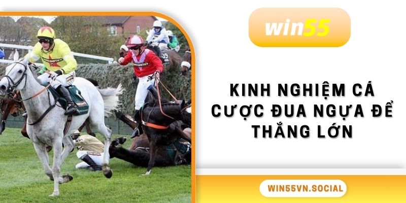 Cá Cược Đua Ngựa Win55 Kịch Tính Đến Từng Giây 4 Kinh nghiệm cá cược đua ngựa để thắng lớn