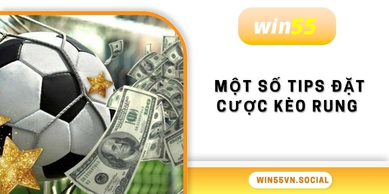Kèo Rung Là Gì? Hình Thức Cá Cược HOT Tại Win55 4 Một số tips đặt cược kèo rung