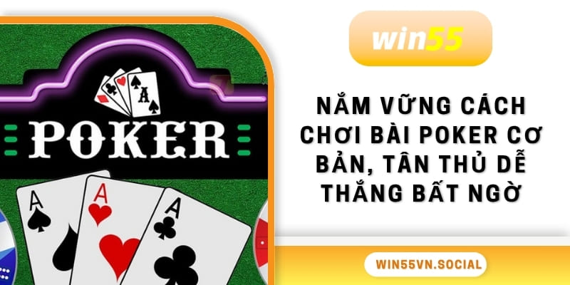 Nắm vững cách chơi bài poker cơ bản, tân thủ dễ thắng bất ngờ
