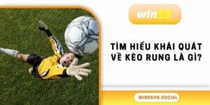 Tìm hiểu khái quát về kèo rung là gì?