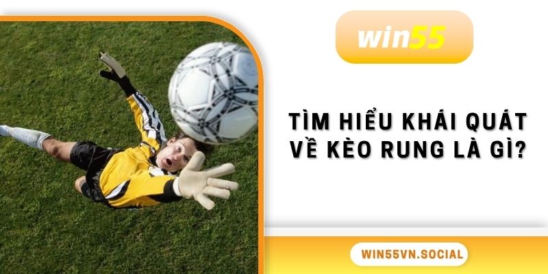 Kèo Rung Là Gì? Hình Thức Cá Cược HOT Tại Win55 2 Tìm hiểu khái quát về kèo rung là gì?