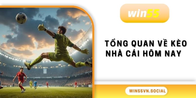 Tổng quan về kèo nhà cái hôm nay  